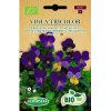 71191 Viola tricolor - Pensée sauvage Bio