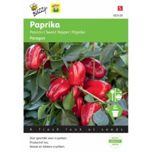 02438 Paprika Paragon - Poivron Paragon