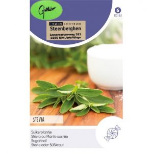 112185 Stevia (suikerplantje) - Stévia (plante sucrée)