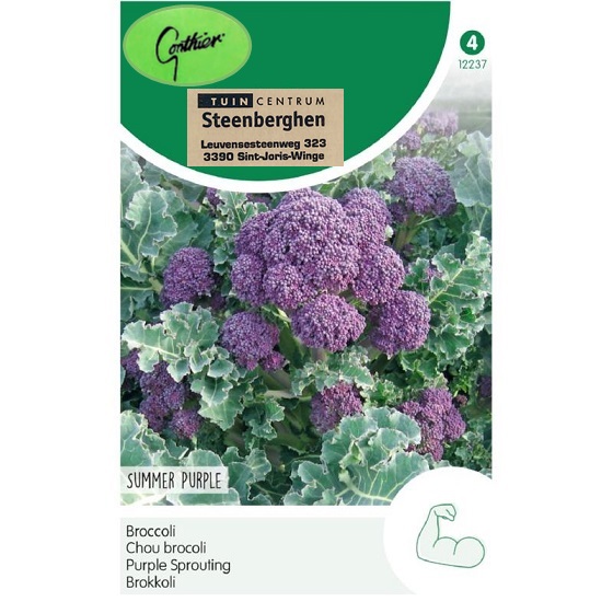 12237 Broccoli Summer Purple - Chou brocoli Summer Purple