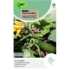 129627 Courgette Black Forest F1