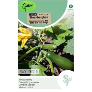 129627 Courgette Black Forest F1