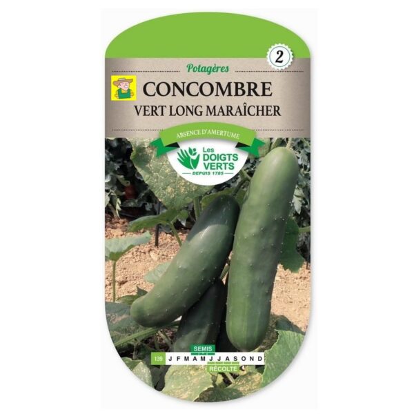139 Concombre Vert Long Maraîcher