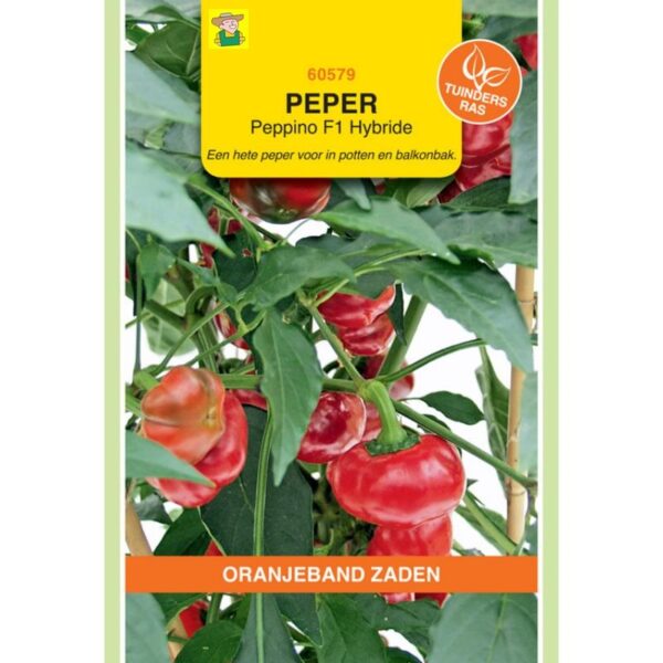 60579 Peper Peppino F1 - Piment Peppino F1