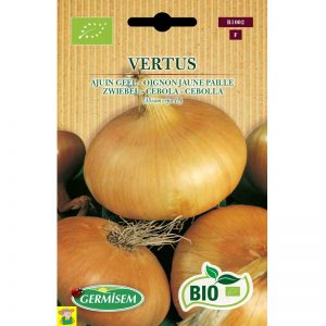 71002 Ajuin Vertus Bio - Oignon Vertus bio