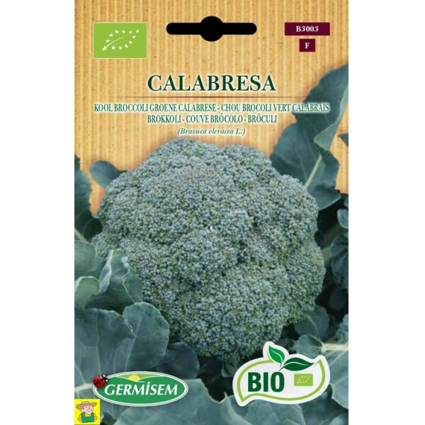 73003 Broccoli Groene Calabrese bio - Chou Brocoli Vert Calabrais bio