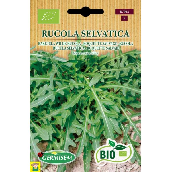 77002 Raketsla Wilde rucola bio - Roquette sauvage bio