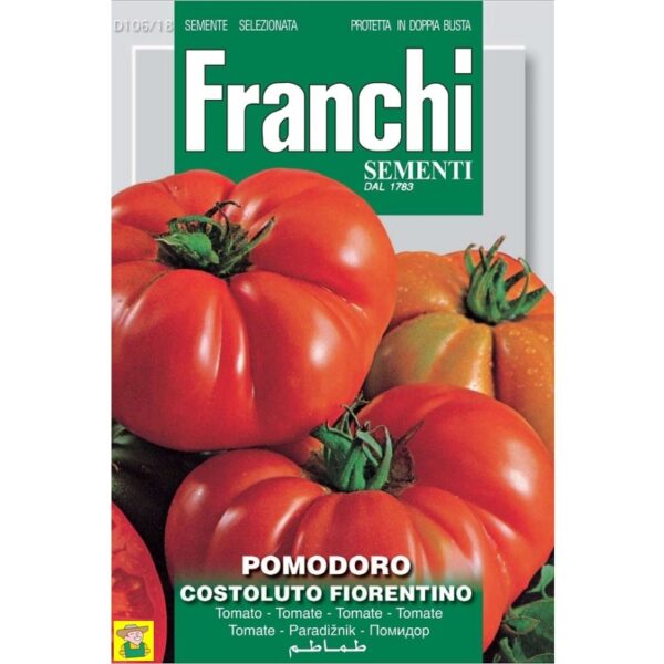 80672 Tomaat Costoluto Fiorentino - Tomate Costoluto Fiorentino