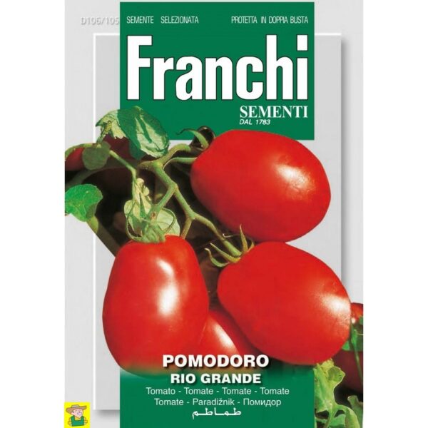 80677 Tomaat Rio Grande - Tomate Rio Grande