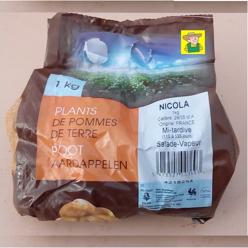 97610 Aardappel Nicola - Pommes de terre Nicola 1kg