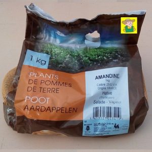 97636 Aardappel Amandine - Pomme de terre Amandine 1kg