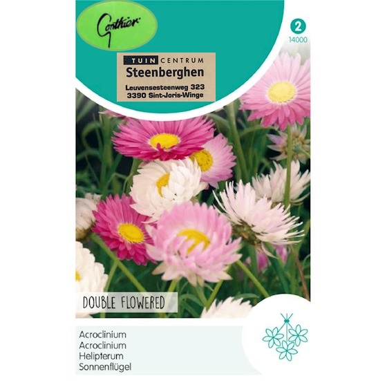 14000 Acroclinium Dubbele bloemen - Acroclinium Fleurs Doubles