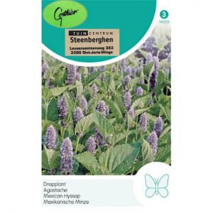 14009 Agastache Foeniculum - Dropplant - Agastache