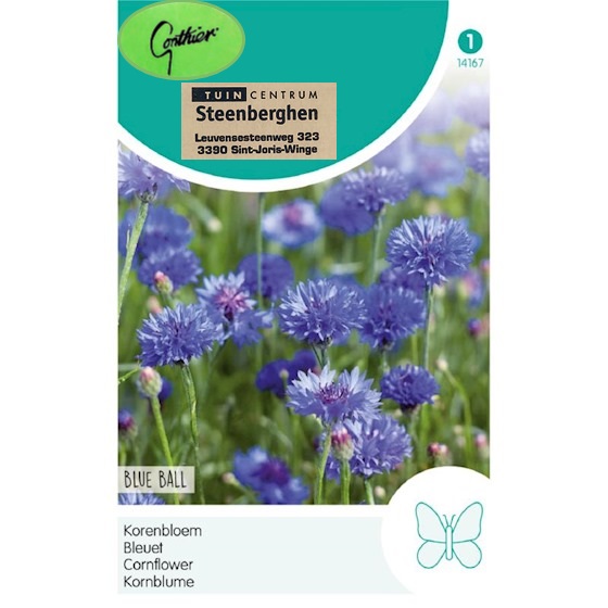 14167 Centaurea Cyanus Blue Ball - Korenbloem - Bleuet