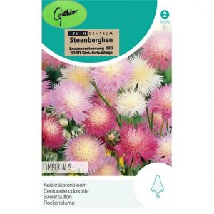14170 Centaurea Moschata Imperialis - Keizerskorenbloem - Centaurée Odorante