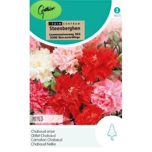14275 Dianthus Caryophyllus Mix - Chabaud Anjer - Oeillet Chabaud