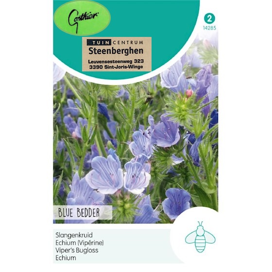 14285 Echium Plantagineum Blue Bedder - Slangenkruid - Vipérine