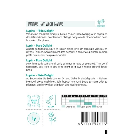 14470 Lupinus Nanus Pixie Delight - Lupine - Lupin