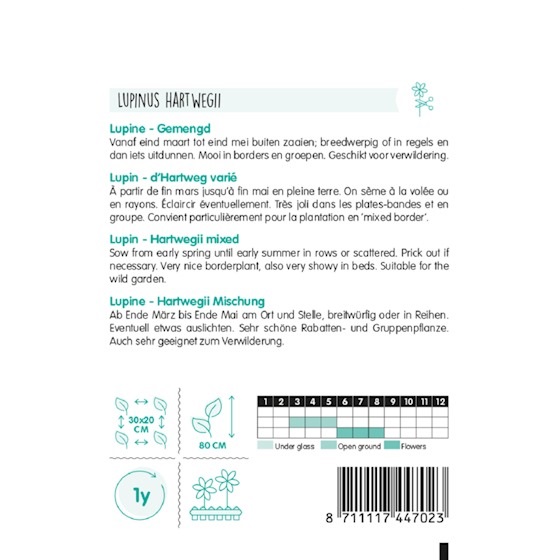 14472 Lupinus Hartwegii New Hybrids Mix - Lupine - Lupin