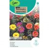 14652 Portulaca Grandiflora Mix - Portulaca Dubbelbloemig - Pourpier Fleurs Doubles