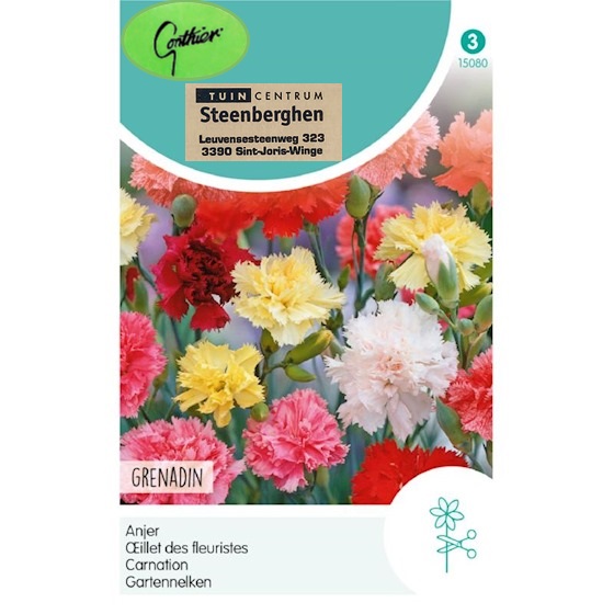 15080 Dianthus Caryophyllus Grenadin Mix - Anjer - Oeillet des Fleuristes