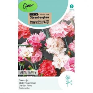 15332 Dianthus Plumarius Spring Beauty - Grasanjer - Oeillet Mignardise