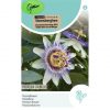 15555 Passiflora Caerulea - Passiebloem - Passiflore