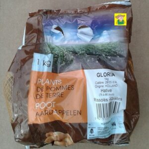 Aardappel Gloria - Pomme de terre Gloria