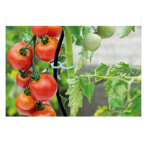 21969 Tomatenclips - Clips pour tomates