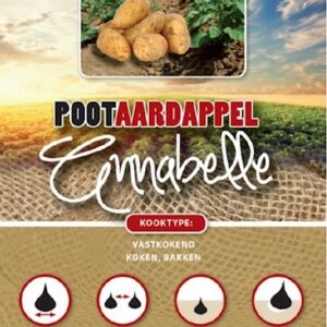 Plantaardappel Annabelle - Pomme de terre Annabelle 1kg